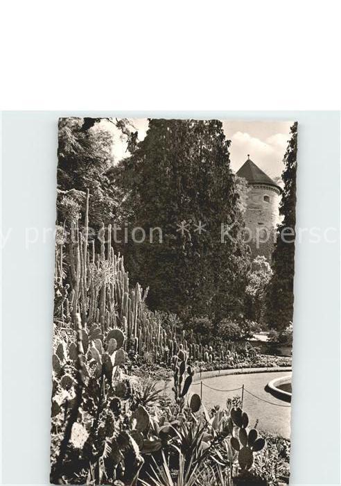 ueberlingen Bodensee Stadtgarten