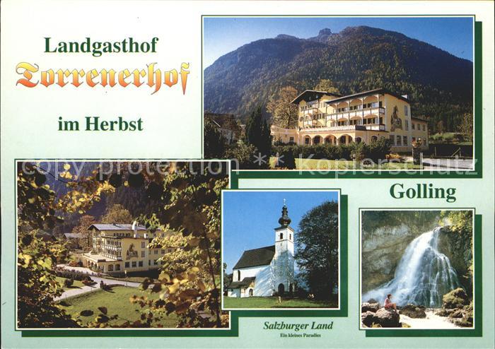 Golling Salzach Landgasthof Torrenerhof