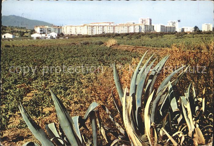 Perpignan La résidence du Moulin á Vent