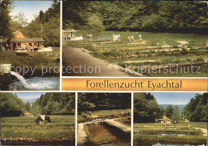 Neuenbuerg Kraichtal Forellenzucht Eyachtal