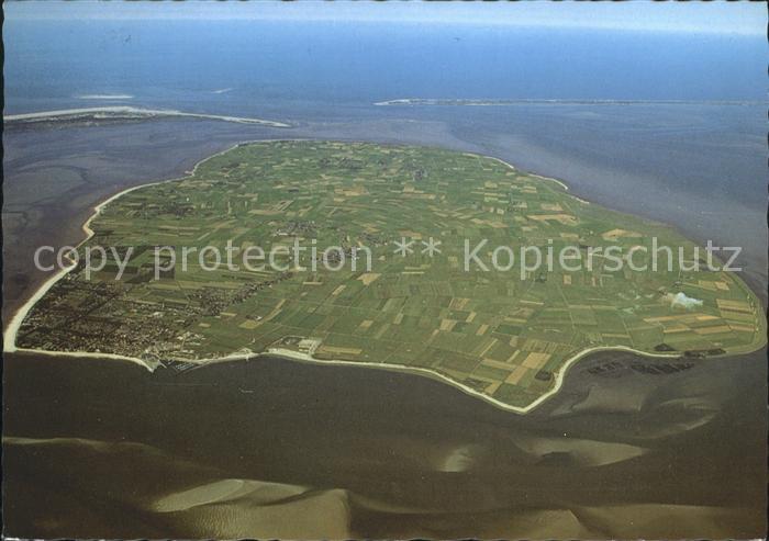 Wyk Foehr Fliegeraufnahme Insel Amrum Insel Sylt