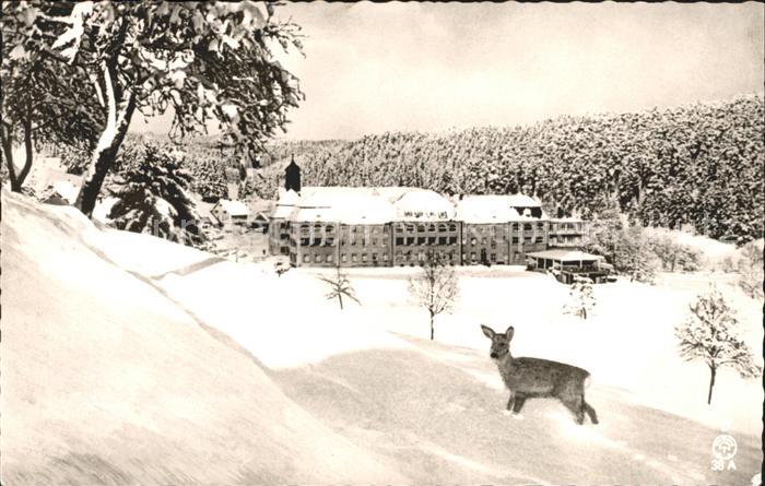 Friedenweiler Kinderheilstaette Schloss Friedenweiler Reh