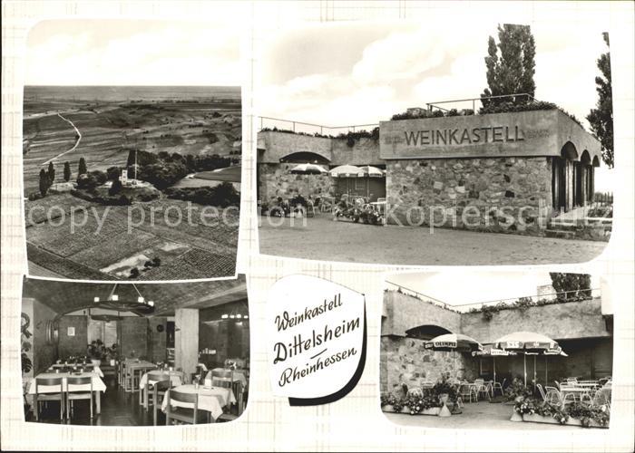 Dittelsheim Weinkastell