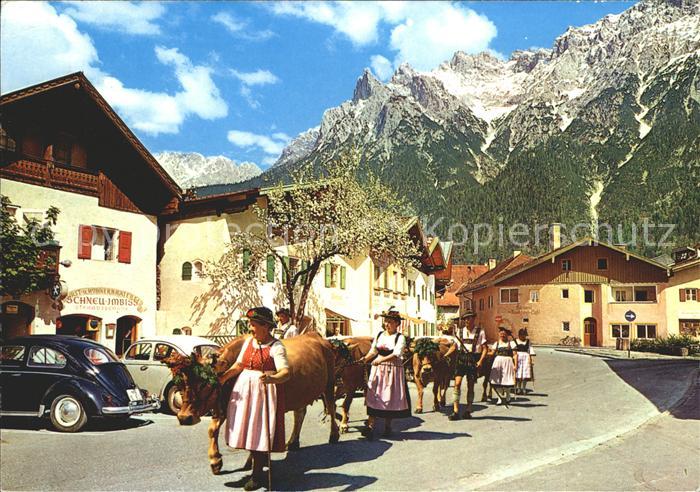 Mittenwald Bayern Almabtrieb Festschmuck Kuehe Karwendelgebirge