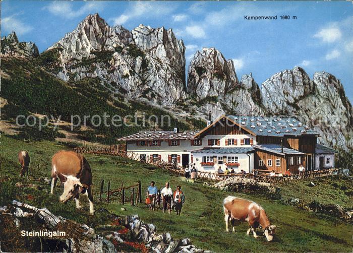 Chiemsee Steinlingalm Kampenwand Kuehe