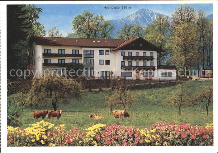 Westerbuchberg Gasthof Zur schoenen Aussicht Hochplatte Kuehe