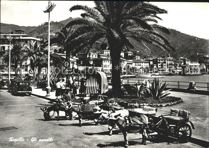 Rapallo Esel