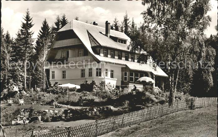 Hinterzarten Breisgau-Hochschwarzwald BW Pension Hochschwarzwald