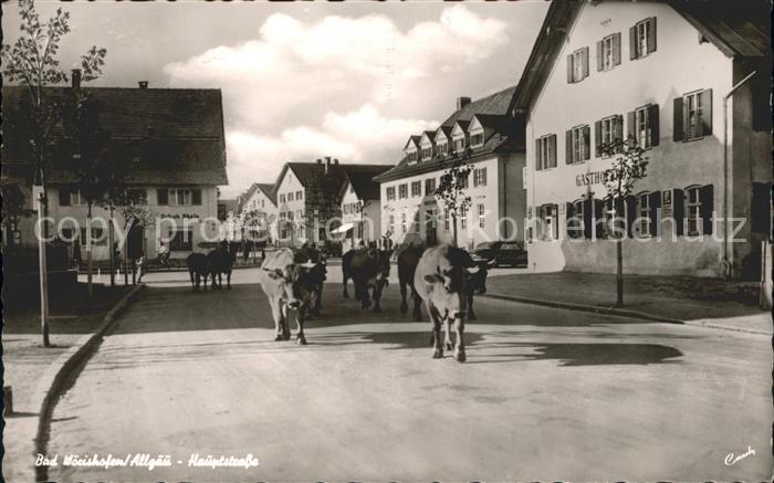 Bad Woerishofen Hauptstrasse Kuehe Gasthof