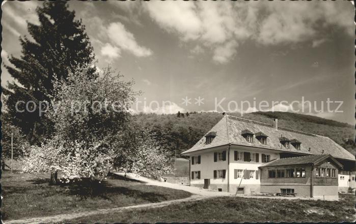 LoeRRACH Baden BW Jugendherberge Platzhof