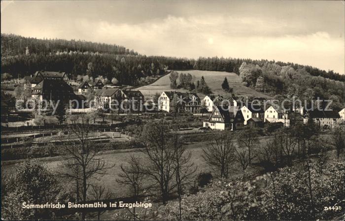 Rechenberg-Bienenmuehle Osterzgebirge Ortsansicht