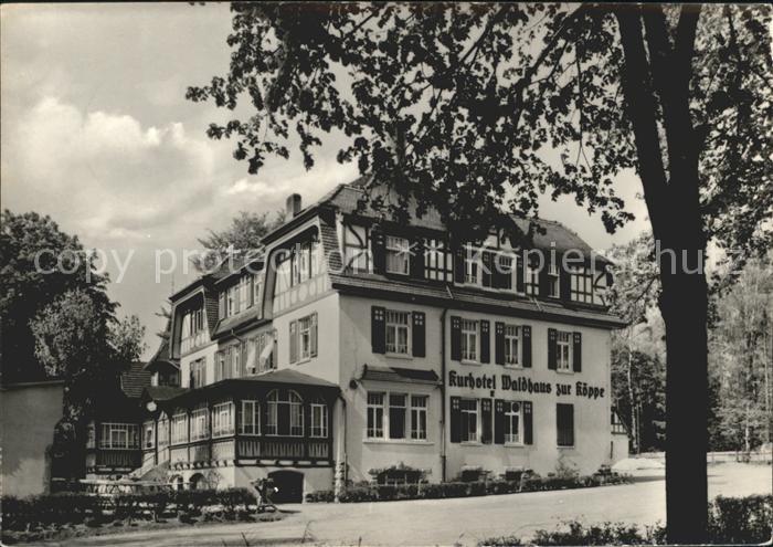 Bad Klosterlausnitz Kurhotel Waldhaus Zur Koeppe
