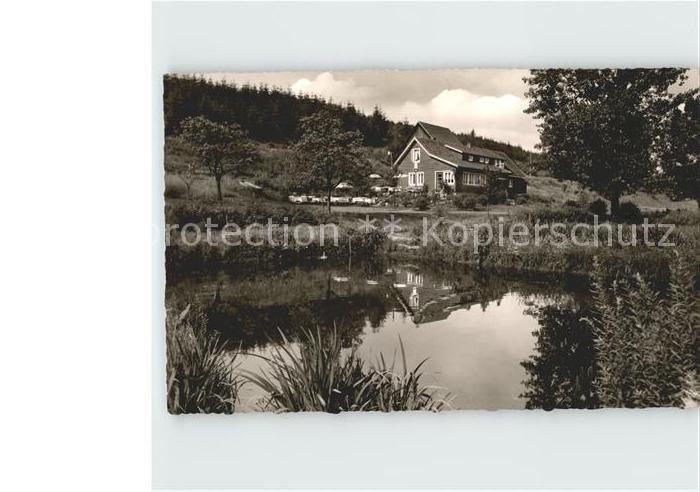 Braunlage Harz Waldgaststaette Forellenteich