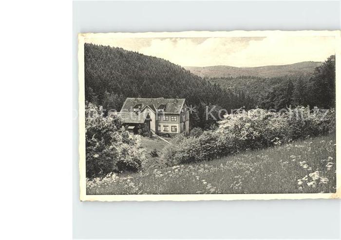 Hohegeiss Harz Hotel Dicke Tannen