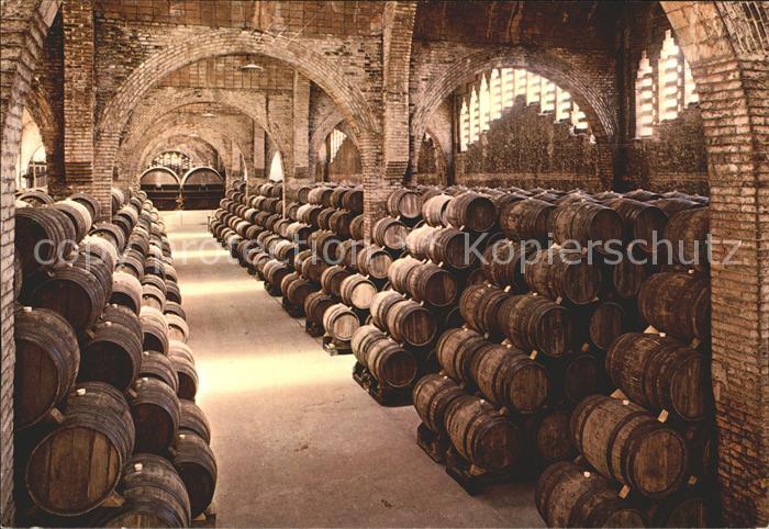 Wein Weinkeller Cavas Codorniu Bodega