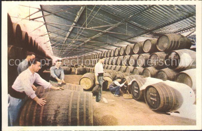 Alkohol Sherry Gonzalez Byass Muelle de embarque