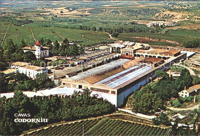 Codorniu Cavas