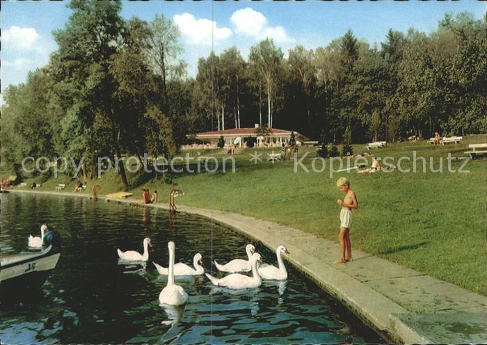 Buxheim Memmingen Camping See Schwaene