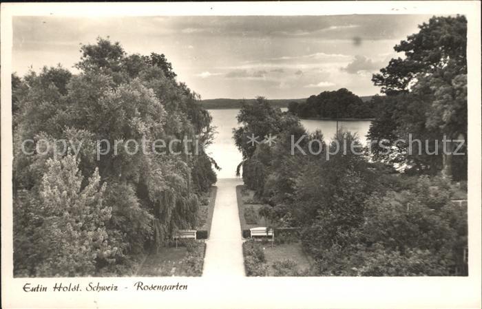 Eutin Schleswig-Holstein Rosengarten