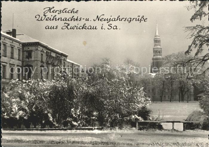 Zwickau Sachsen Park mit Dom im Winter