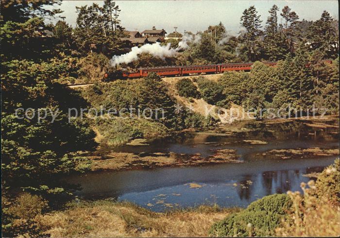 Willits Fort Bragg Damplok