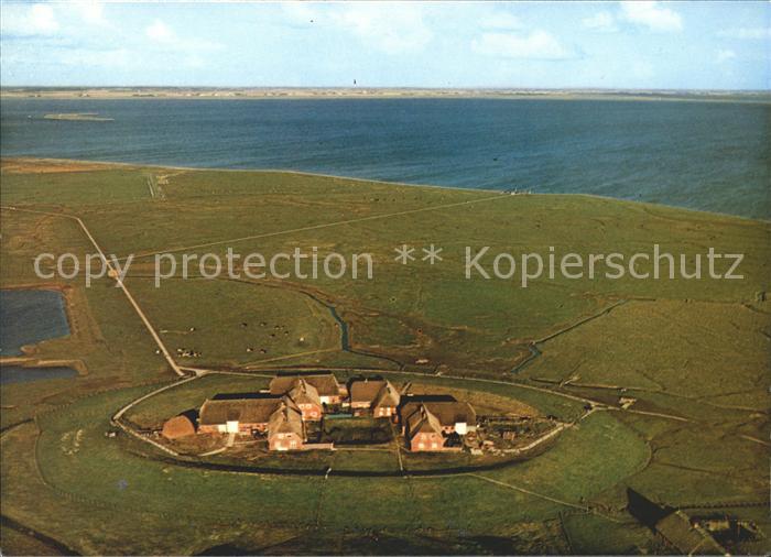Hallig Groede Fliegeraufnahme Insel kleinste Gemeinde der Bundesrepublik