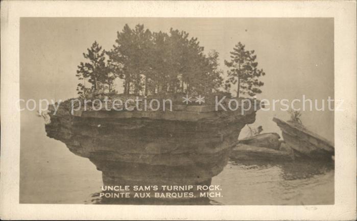 Michigan US-State Uncel Sams Turnip Rock