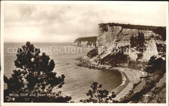 Seaton Allerdale White Cliff and Beer Head