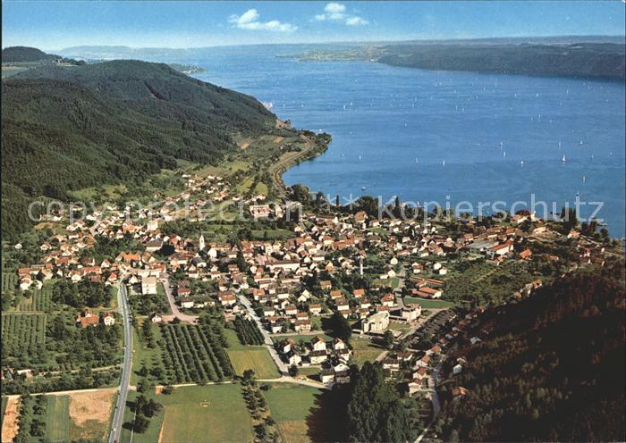 Ludwigshafen Bodensee Fliegeraufnahme ueberlinger See