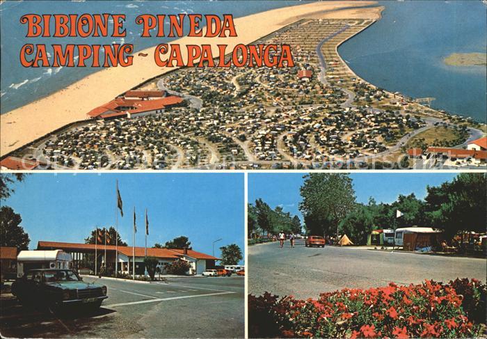 Bibione Fliegeraufnahme Strand und Camping Capalonga