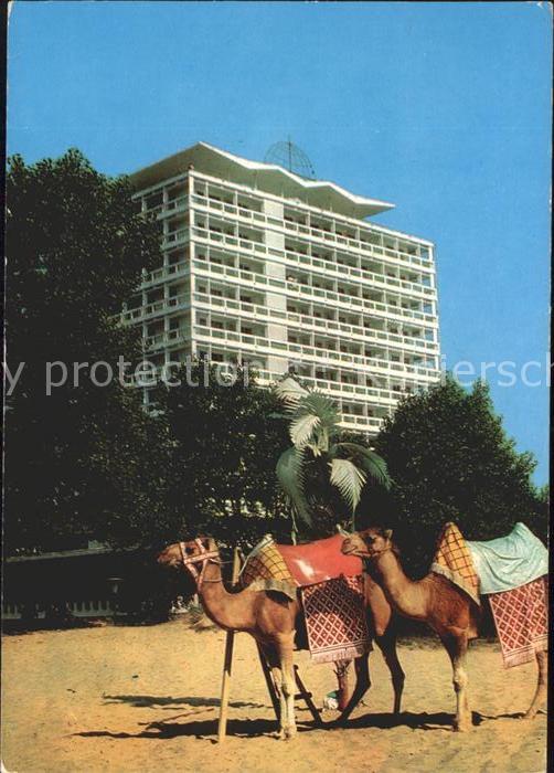 Nessebar Nessebyr Nessebre Kamele