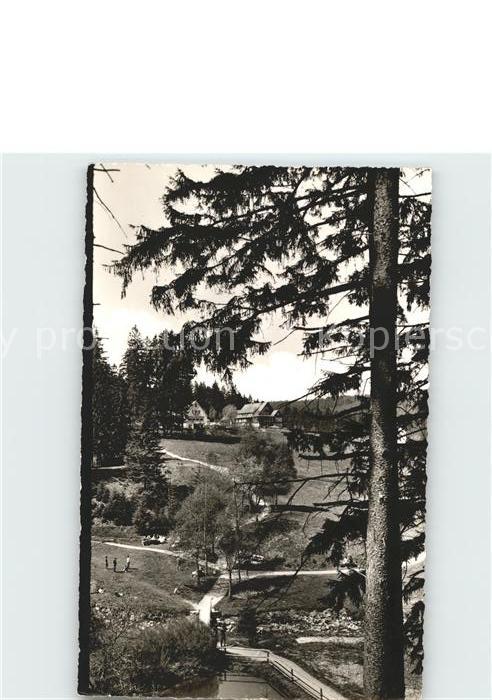 Altenau Harz Schwefelquelle