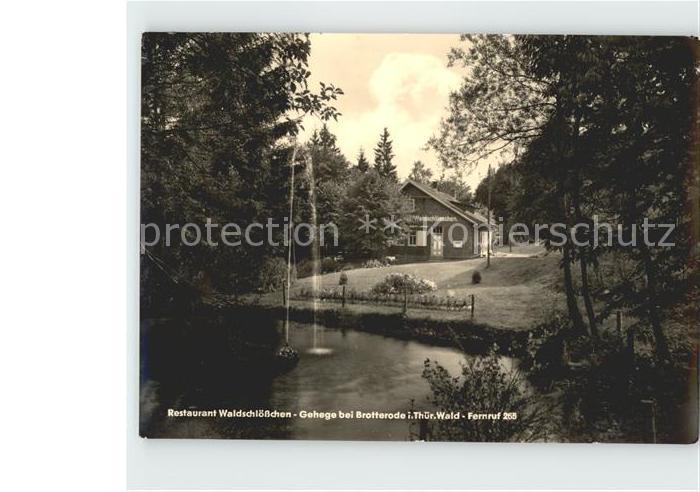 Brotterode Restaurant Waldschloesschen Gehege