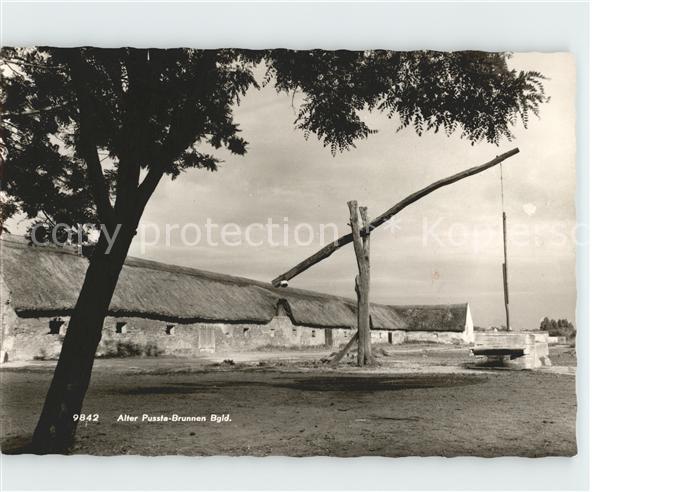 Burgenland Oesterreich Alter Pussta Brunnen