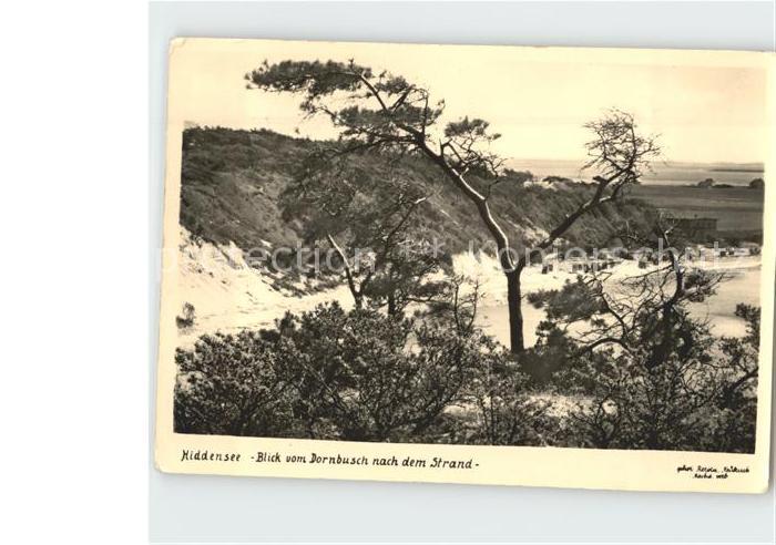 Insel Hiddensee Strand