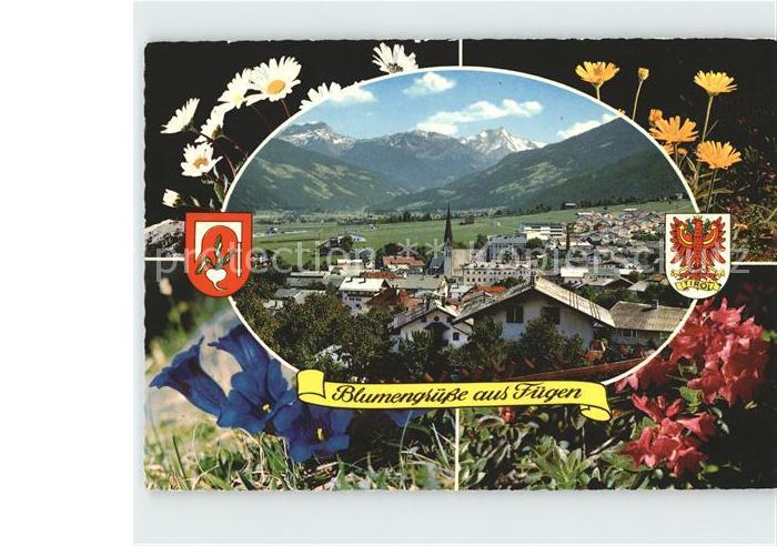 Fuegen Gesamtansicht mit Alpenpanorama Blumen Alpenflora