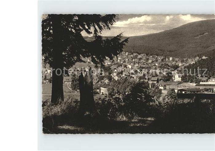 Braunlage Harz Adamsblick