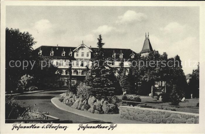 Hahnenklee-Bockswiese Harz Hotel Hahnenkleer Hof
