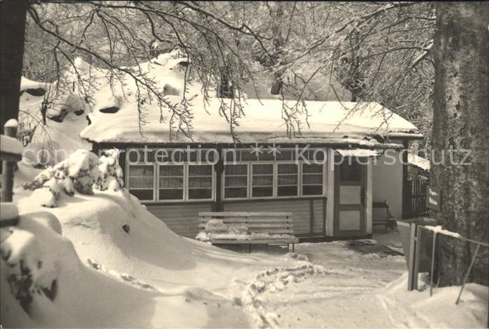Ilsenburg Harz Rasstaette Ilsestein im Wald