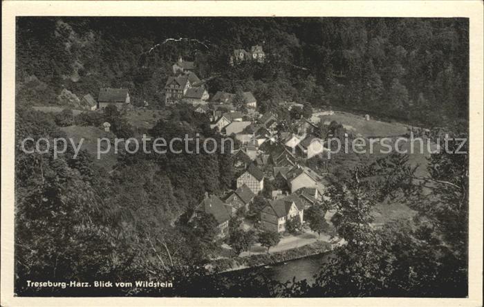 Treseburg Harz Blick vom Wildstein