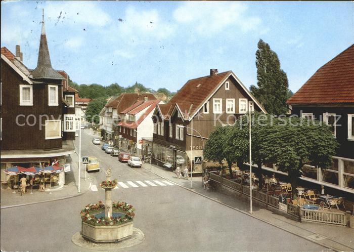 Braunlage Harz Eichhoernchen Brunnen Elbingeroeder Strasse