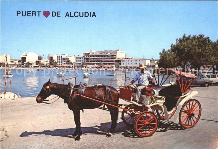 Alcudia Mallorca Porto de Alcudia Pferdekutsche