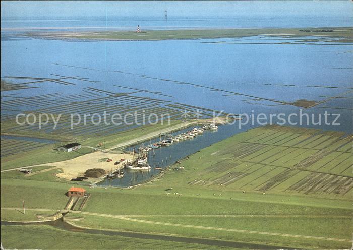 Eiderstedt Fischerei- und Jachthafen Tuemlauer Koog