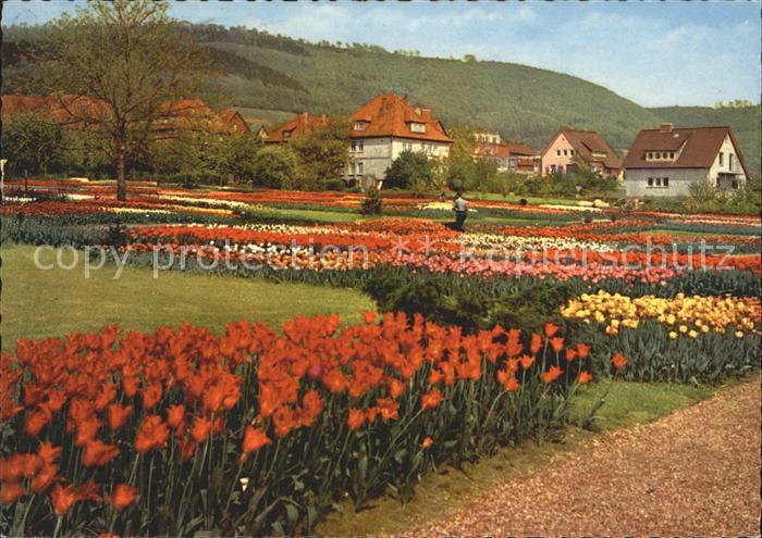 Deckbergen Der Ermannshof Deutschlands groesste Tulpenschau