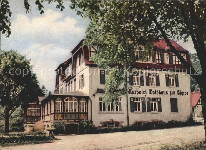Bad Klosterlausnitz Kurhotel Waldhaus zur Koeppe