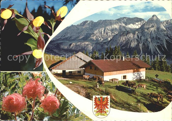 Lermoos Tirol Gruss von der Duftalm