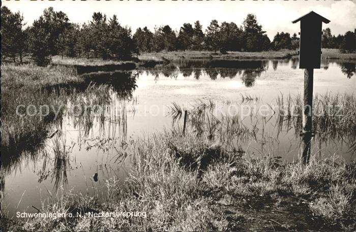 Schwenningen Neckar Neckarursprung im Schwenninger Moos
