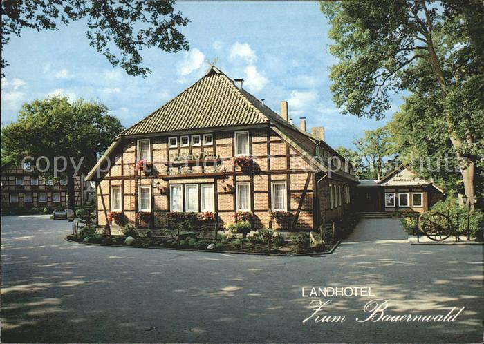 Fassberg Landhotel Zum Bauernwald
