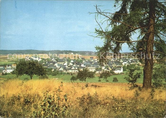 Dachsenhausen Panorama