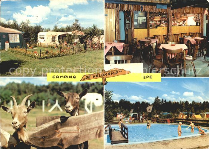 Epe Gelderland Camping De Veldkamp Swimming Pool Ziegen